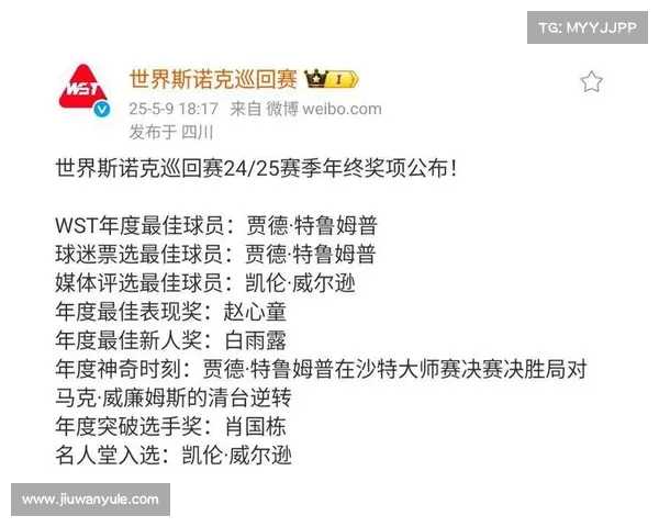 年度最佳球员评选:突破与坚持的巅峰时刻,荣耀加冕的荣耀之路 年度最佳球员评选:突破与坚持的巅峰时刻,荣耀加冕的荣耀之路